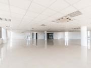 Oficinas corporativas sobre Paseo de Montejo, la zona...