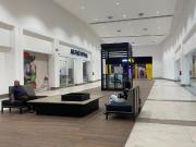 Oficinas + Cowork en Av. Gonzalitos, Monterrey Nuevo Leon