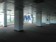 Oficinas en alquiler. San Sebastián de Los Reyes