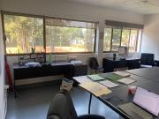 Oficinas en renta 200m2 Hipodromo Condesa