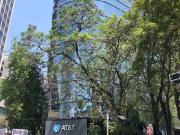 Oficinas en renta, Col. Tabacalera