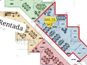 Oficinas en Renta en Residencial San Agustin 1 Sector