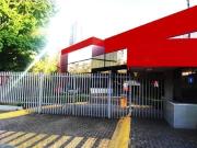 OFICINAS EN RENTA SUR DE CDMX ?OPORTUNIDAD!