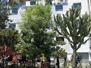 Oficinas en Renta Todo Incluido – Desde 10m² hasta 79m²...