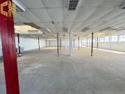 Oficinas Lisboa Lisboa 1950 DS96583368