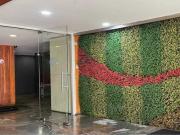 Oficinas Renta, Baja California, Condesa, Cuauhtemoc