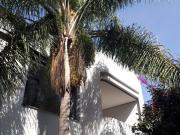 Oficinas Renta Melchor Ocampo Barrio Santa Catarina Coyoacan