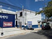 Oficinas y locales en renta