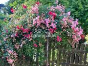 = OHNE MAKLER = 2 schöne BAUPLÄTZE mit Baugenehmigung in...