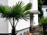 OHNE MAKLER Top gepflegtes Zweifamilienhaus in ruhiger Lage