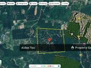 Oil Palm For Sale Negeri Sembilan For Sale