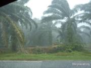 oil palm land at klang sijangkang johan setia for 6. 15 mil