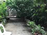 Old House in Mandaluyong behind VRP Medical Center for Sale