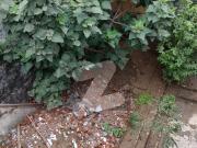 Old is gold single story chance deal at plot price in...