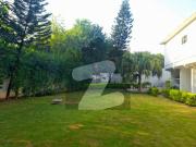 Old Livable House On 1200 SQYD In Prime G 6