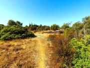 Olhão Olhão 87065050