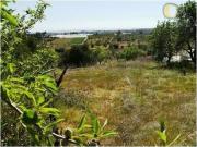 Olhão Olhão 93562591