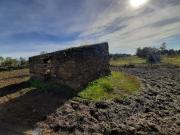 Olivar con una construcción para reformar de unos 26 metros