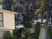 OLIVAR DE LOS PADRES