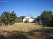 Olivar Ecologico Cortijo Suelo Urbanizable 13.6 hectareas