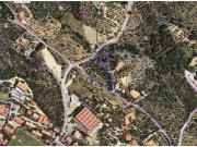 Olivar en venta