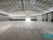 Oliveira do Bairro Aveiro 84272205