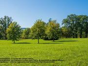 Ollainville 91340 Programme neuf terrain neuf à vendre