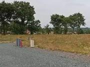 Olonne sur Mer 85340 Programme neuf terrain neuf à vendre