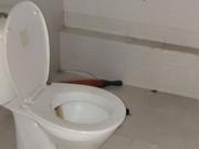 Omaxe Heights 2 Bedroom 1200 Sq. Ft. Apartment in Sector...