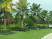 Omaxe Phase 2 New Chandigarh 300 Sq. Yd. Plot in...