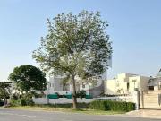 On 70 Ft Rd 1 Kanal Top Location Plot No Close to 128...