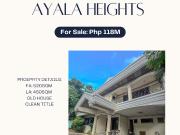 one away* old house in Ayala Heights for sale