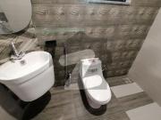 One Bed Bath Kitchen Like Studio Flat For Rent Fazaia...