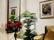 One Bed Fully Furnished Apartment Available For Rent...