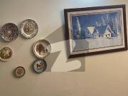 One Bed Furnished Flat For Rent