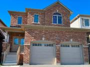 One Bedr Basement Apart in Peterborough 2 Parking All...