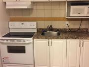 One Bedroom, one Bath furnished Basement Suite in Sage...