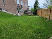 One Bedroom W/o Apartment For Rent Neilson Rd. & Finch...