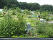 One Bedroomed Flat Six Hit From Headingley