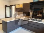 One kanal beautifull brand new house avaliable for rent...