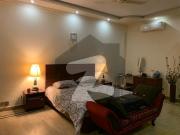 One kanal beautifull house avaliable for rent in dha...