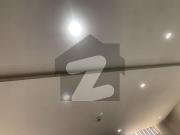 One kanal beautifull house avaliable for rent in dha...