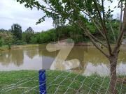 One Kanal Corner Plot with extra land For Sale in, Naval...