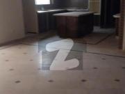 One Kanal double story House can be used for Silent...