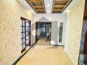 One kanal lower portion for rent