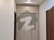 One kanal lush condition basment portion available for rent