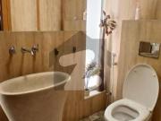 One Kanal Well Maintained House Available For Rent In...