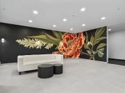 ONE MONTH FREE! NEW modern apartments