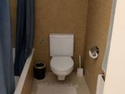 ONE ROOM APARTMENT IN ZURICH – KREIS 7 WITIKON,...