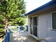 ONE WITH ALL THE TRIMMINGS!